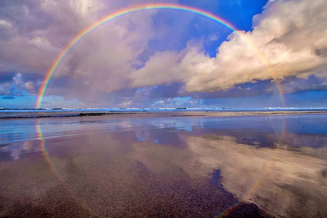 Australian rainbows turned it on in 2021